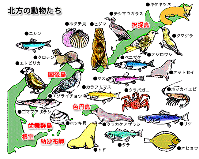 北方の動物たち